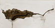 a14